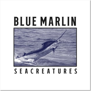 Blue Marlin Posters and Art